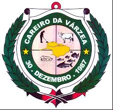Cidade de CAREIRO DA VARZEA - AM 