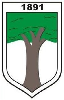 Brasão da cidade de Ibiracu - ES