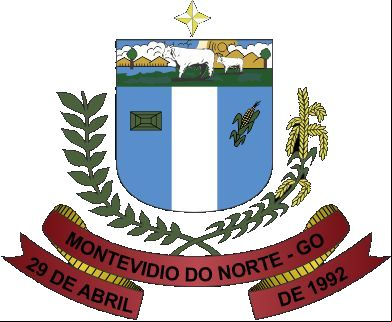 Cidade de MONTIVIDIU DO NORTE - GO 