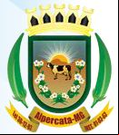 Cidade de ALPERCATA - MG 