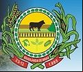 Cidade de BRASILANDIA DE MINAS - MG 