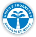 Cidade de BRASILIA DE MINAS - MG 