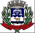 Cidade de DOM SILVERIO - MG 