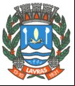 Cidade de LAVRAS - MG 
