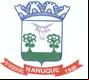 Brasão da cidade de Nanuque - MG