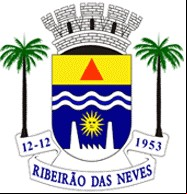 Cidade de RIBEIRAO DAS NEVES - MG 