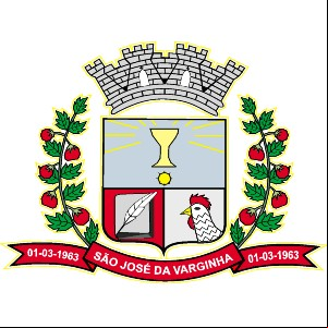 Cidade de SAO JOSE DA VARGINHA - MG 
