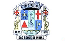 Cidade de SAO ROQUE DE MINAS - MG 