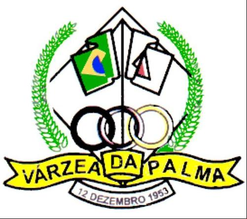 Cidade de VARZEA DA PALMA - MG 