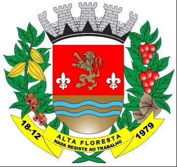 Cidade de ALTA FLORESTA - MT 