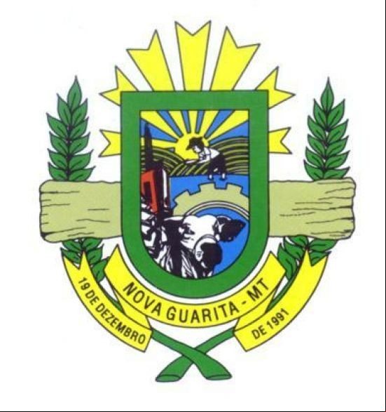 Brasão da cidade de Nova Guarita - MT