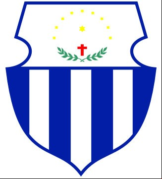 Brasão da cidade de Salgueiro - PE