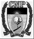 Cidade de CURRAL NOVO DO PIAUI - PI 
