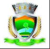 Brasão da cidade de Porto - PI