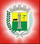 Cidade de PALMAS - PR 