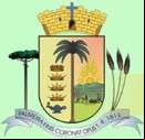 Cidade de PALMEIRA - PR 