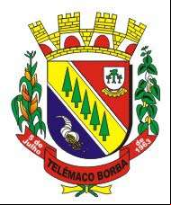 Cidade de TELEMACO BORBA - PR 