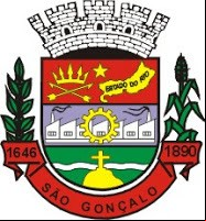 Brasão da cidade de Sao Goncalo - RJ