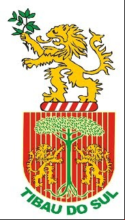 Brasão da cidade de Tibau Do Sul - RN