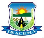 Brasão da cidade de Iracema - RR