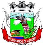 Cidade de DILERMANDO DE AGUIAR - RS 