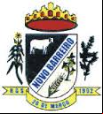 Cidade de NOVO BARREIRO - RS 