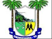 Brasão da cidade de Cachoeirinha - TO