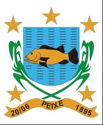 Brasão da cidade de Peixe - TO