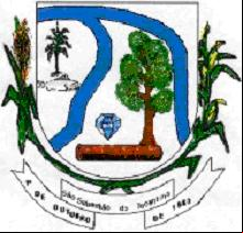 Brasão da cidade de Sao Sebastiao Do Tocantins - TO