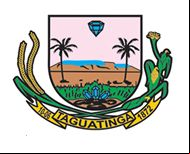 Brasão da cidade de Taguatinga - TO
